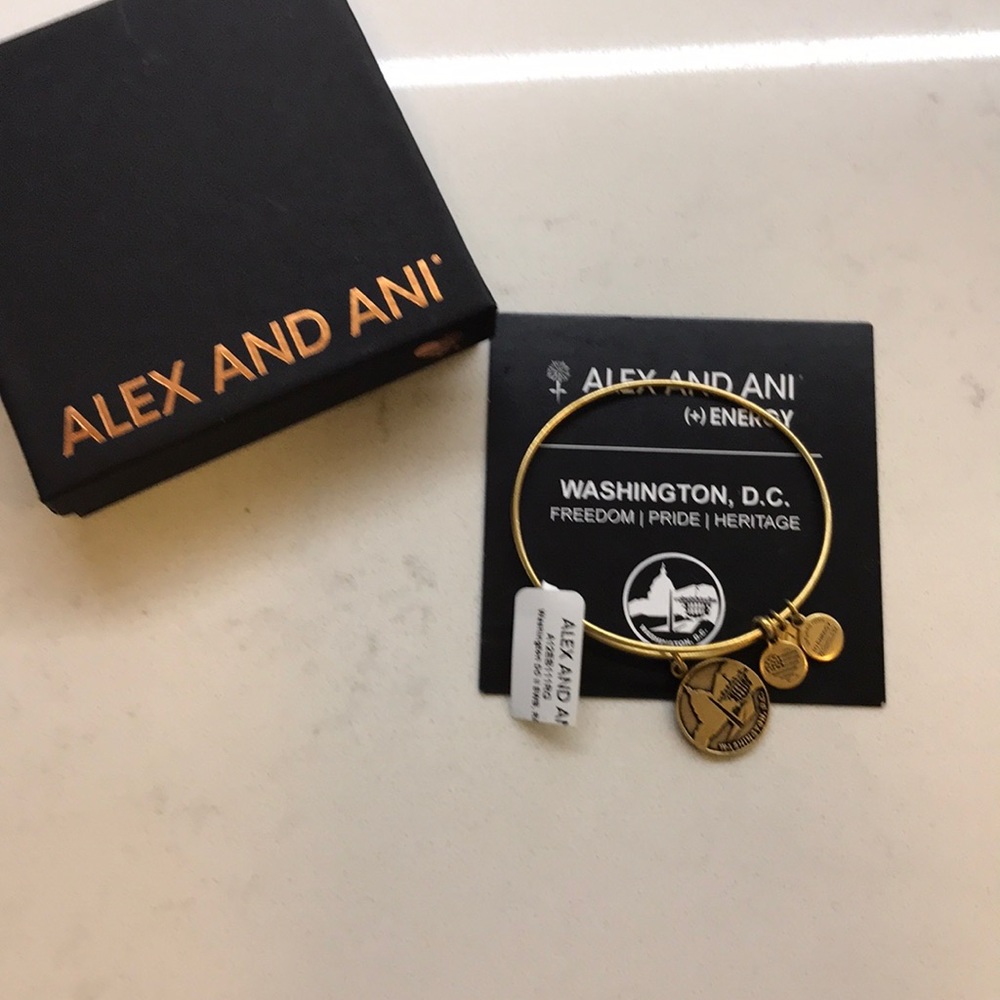 Alex and Ani Washington DC Bangle